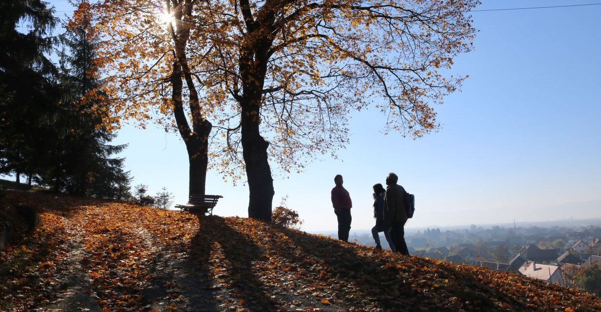 Őszi szakmai tábor és 30+1 jubileum